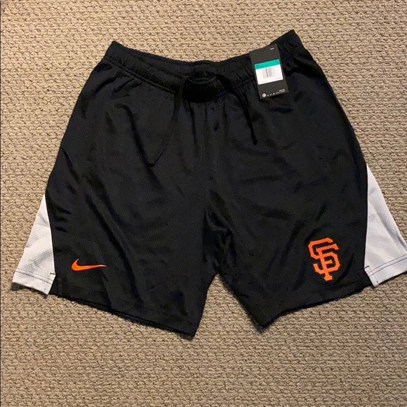 Nike Other - Men’s Nike Xl athletic shorts